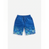 blue sharks swim short